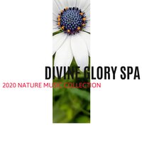 Watery Illumination - Spa Zen