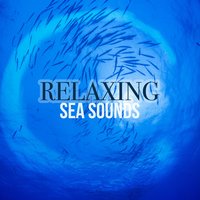 Relaxing Sea Sounds