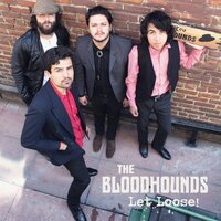 Hey Lonnie - The Bloodhounds