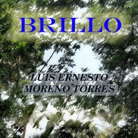 BRILLO - LUIS ERNESTO MORENO TORRES