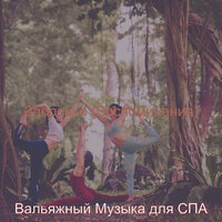 Чувство (Омоложение) - Вальяжный Музыка для СПА