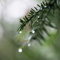 30 Bedtime Rain Sounds for Inner Calmness