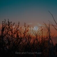 The Spa Music