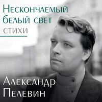 Александр Пелевин. «Нескончаемый белый свет. Стихи». Часть 121 - Макс Радман