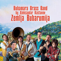 Reka Anastasija - Bubamara Brass Band & Aleksandar Kashtanov