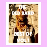 Not What You Had Wanted - The Bed Band