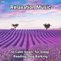 Lovely Relaxation Music for Your Body - Deep Sleep & Relaxing music & Yoga