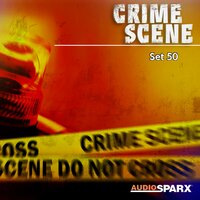 Crime Scene, Set 50