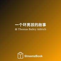 第十五章 - 一个老熟人出现 - 4 - Thomas Bailey Aldrich & StreamzBook 中文 & StreamzBook 青少年 中文