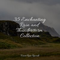 35 Enchanting Rain and Thunderstorm Collection
