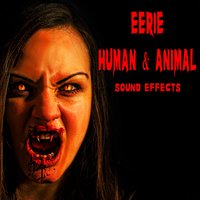 Eerie Low Devil Chanting with Reverb, Reversed Take 5 - The Hollywood Edge Sound Effects Library