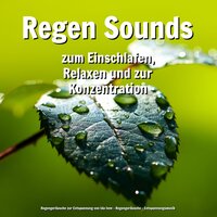 Welch Offenbarung - Regengeräusche & Entspannungsmusik & Regengeräusche zur Entspannung von Ida Iven