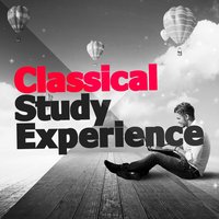 Classical Study Experience