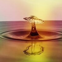 Sweet Dew Meadow - Nature Sounds Nature Music, Spiritual Fitness Music, Sounds Of Nature : Thunderstorm, Rain & Nature Sounds Nature Music & Sounds Of Nature : Thunderstorm, Rain & Spiritual Fitness Music