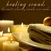 Sit, Stare & Spa - Relaxing Healers
