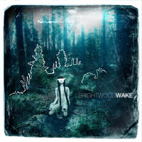 Wake - Brightwood