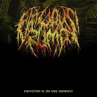 I Can't Stomach Your Pain - Fatuous Rump