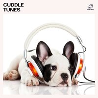 Snuggle Bark - Relax My Pet & Dog Music Library & Pet Lullaby & Pet Sleep