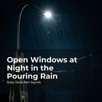 Watching the Rain Pour - Rain Sounds Collection & Deep Sleep Rain Sounds & Rain Meditations