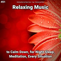 Relaxation Music Pt. 96 - Relaxing Music by Finjus Yanez & Yoga & Relaxing Spa Music