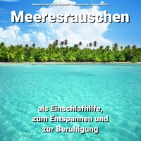 Bunte Nacht - Meeresrauschen Ruwen Middendorf & Naturgeräusche & Meeresrauschen
