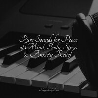 Pure Sounds for Peace of Mind, Body, Stress & Anxiety Relief