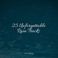 25 Unforgettable Rain Tracks