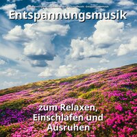 Ich lasse los im Park - Entspannungsmusik Sebastian Noiro & Schlafmusik & Entspannungsmusik