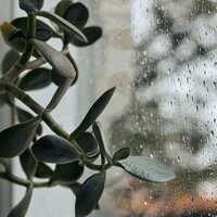 Serenidad Y Sueño Profundo Reconfortantes
