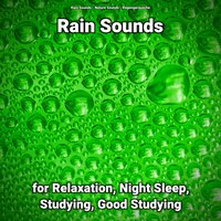 Rain Sounds for Relaxation and Night Sleep Pt. 96 - Nature Sounds & Rain Sounds & Regengeräusche