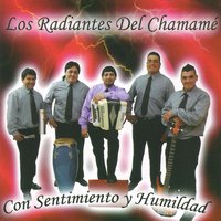 Jinete de San Bernardo - Los Radiantes del Chamamé