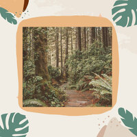 Charming Ambience for Self Care Rtiuals - Easy Jazz Listening