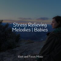 Lakeside Nights - Classical Study Music & Sound Sleeping & Powerthoughts Meditation Club