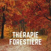 Thérapie Forestière