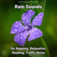 Rain Sounds for Relaxation and Traffic Noise Pt. 29 - Nature Sounds & Rain Sounds & Regengeräusche