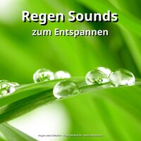 Massage - Regengeräusche & Naturgeräusche & Regen zum Schlafen