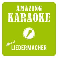 Best of Liedermacher