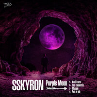Des connectés - SSkyron