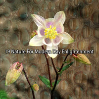 Natures Presence - Ambiance Nature & In The Air