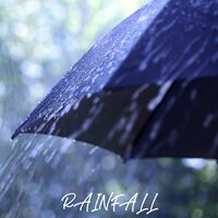 The Talk of the Rain - Nature Sounds & Rain Sounds