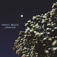 The Darker the Shade - Jonah Kue