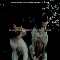 Впечатление (Подчеркнутые кошки) - Музыка для кошек