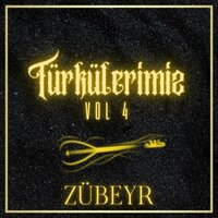 Taşa Verdim Yanımı - Zübeyr