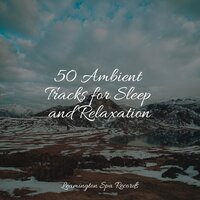 Soothing Winds - Ambientalism & calm shores & Relaxing Sounds of Nature