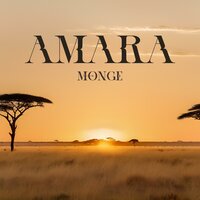 Amara - Monge