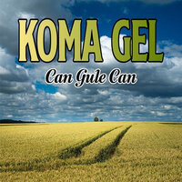 Can Gule Can