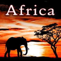 South Africa, Airport Departure Hall with Public Address System & Hum of Voices - Sound Ideas