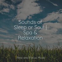 Sounds of Sleep or Soul | Spa & Relaxation