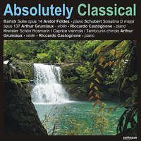 Sonatina in D Major, Op. 137-I: I. Allegro Molto - Франц Шуберт & Arthur Grumiaux & Riccardo Castognone