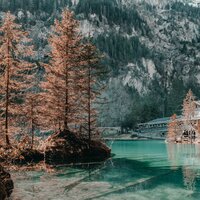 40 Relaxing Nature Recordings for Stress Relief